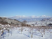 真冬の景色