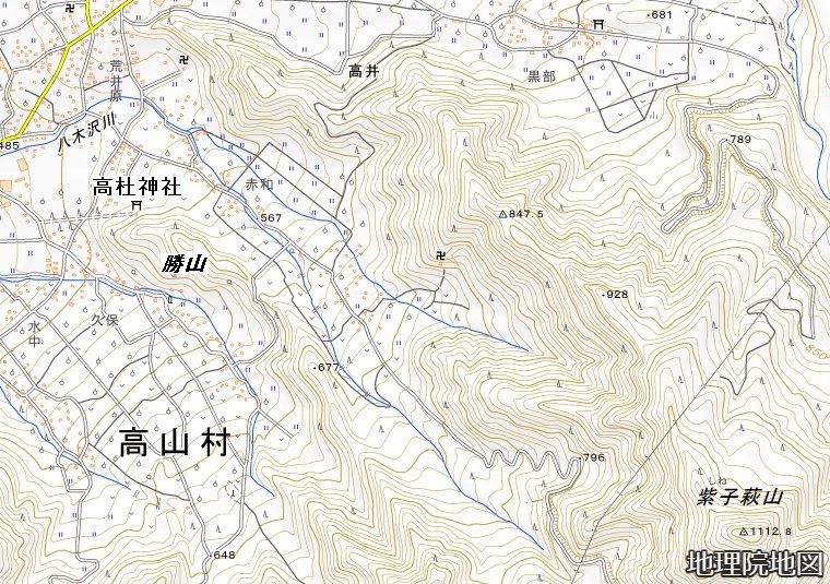 地理院地図