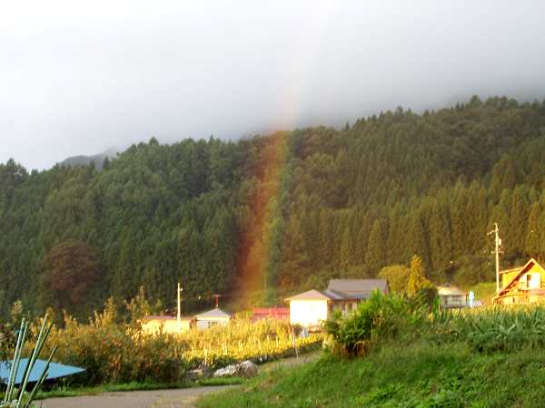 家の庭から立ち上がる虹