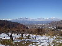 �������₦����