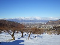 �����̒�