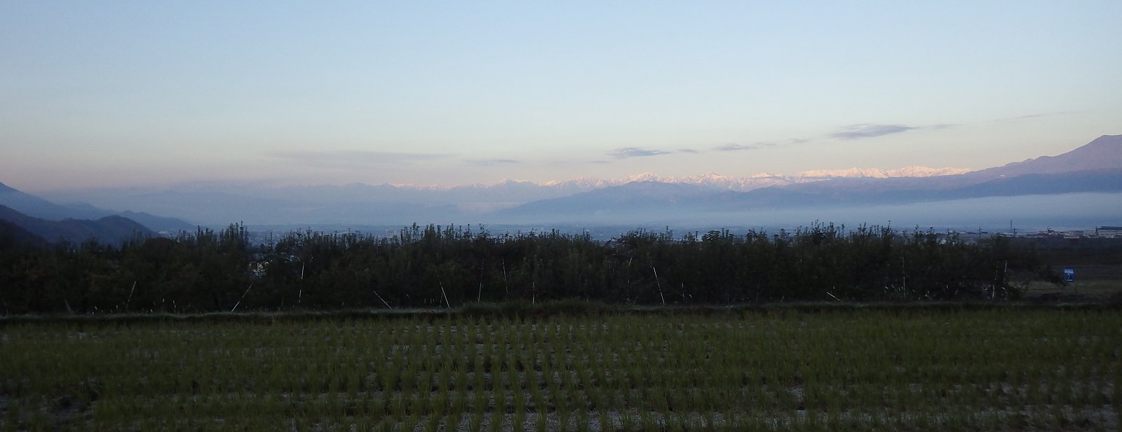 �����얶���Y���ӏH�̒�