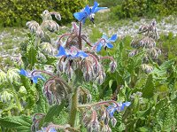 �����W�T