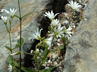 �^�J�l�~�~�i�O�T