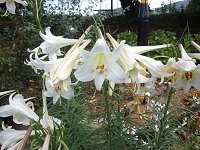 �^�J�T�S����